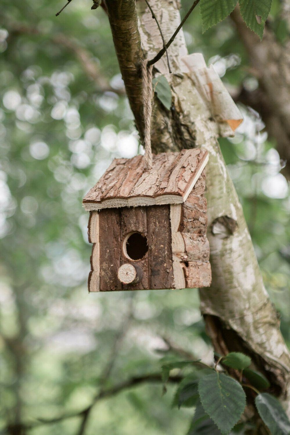 When to Clean Out Bird Nest Boxes: Expert Advice