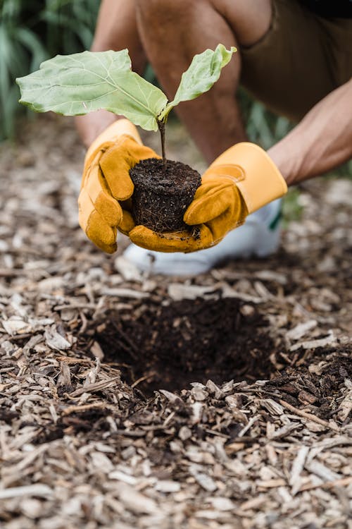 Gardening Gloves