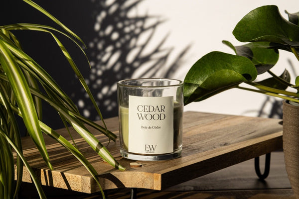 30 Hour Cedarwood Medium Candle