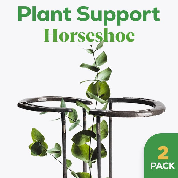 2pc Horseshoe Plant Stakes