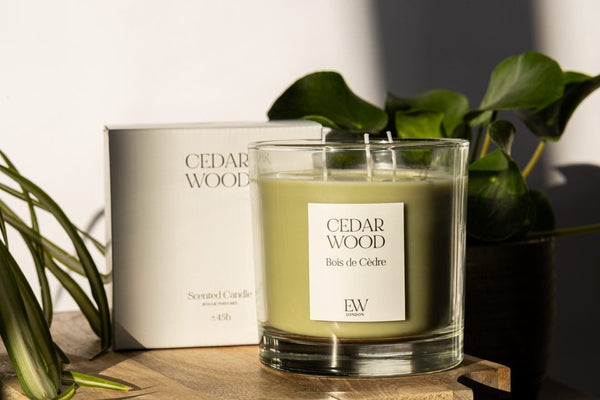 45 Hour 3 wick Cedarwood Candle