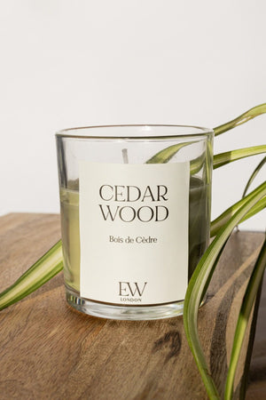 30 Hour Cedarwood Medium Candle