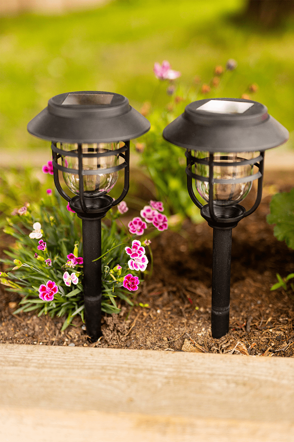 LED Solar Power Pathway Lights for Outdoor Garden