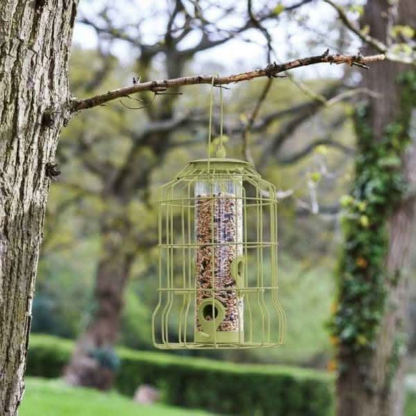 Green caged bird feeder hanging from tree in a Garden