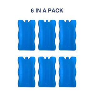 One pack of 6 Ice blocks