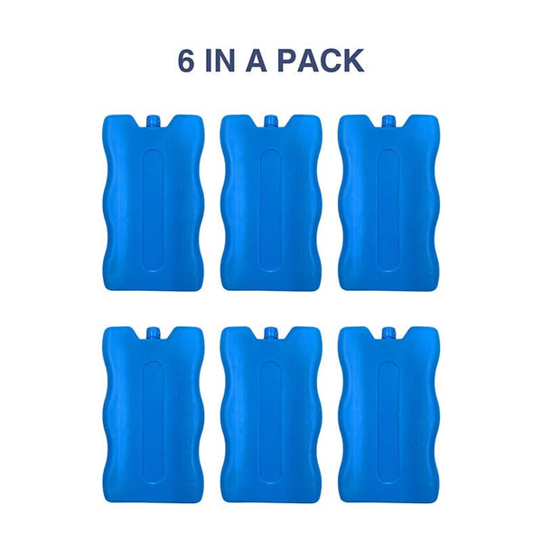 One pack of 6 Ice blocks