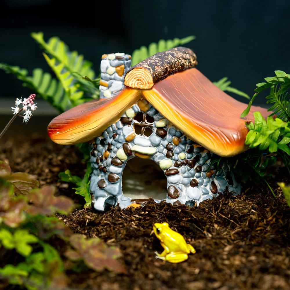 Resin Frog House Garden Ornament