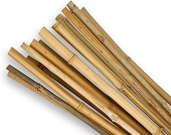 Pack Of 100 3ft (90cm) Bamboo Canes