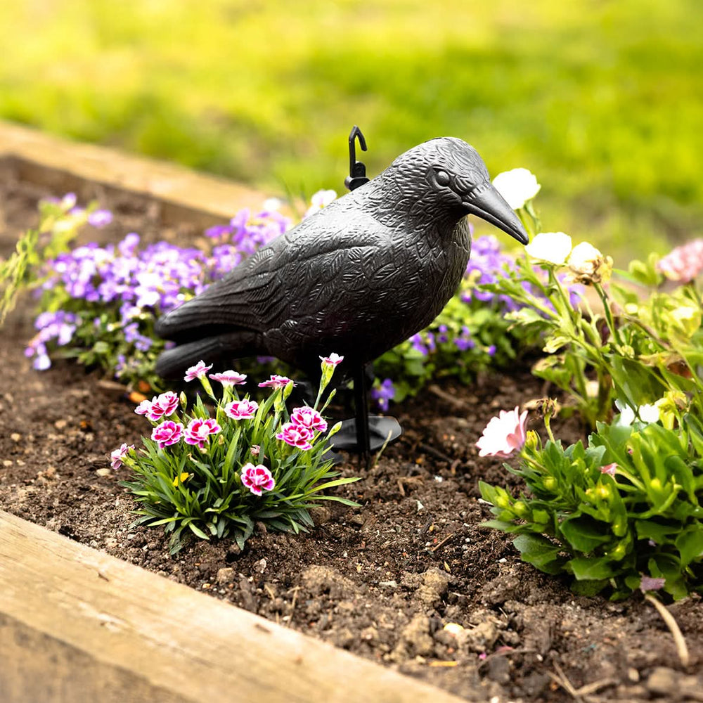 Crow Decoy Realistic Plastic Full Body