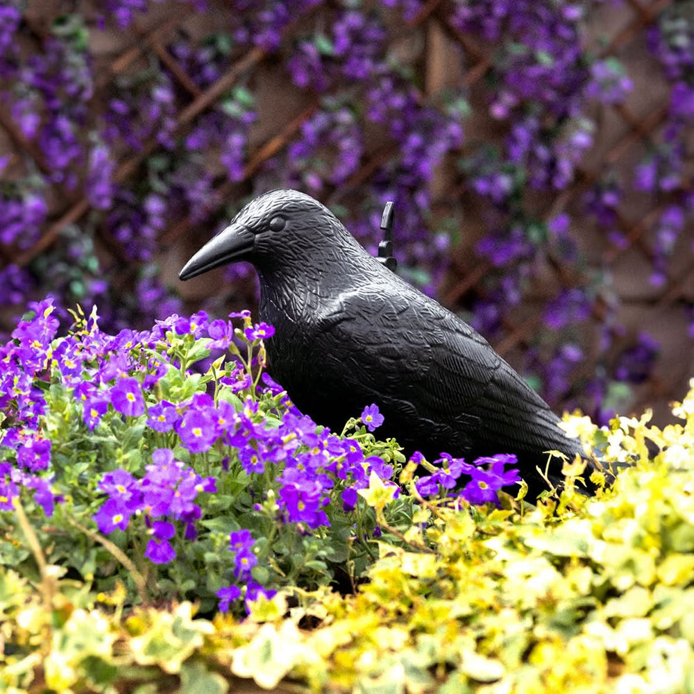 Crow Decoy Realistic Plastic Full Body