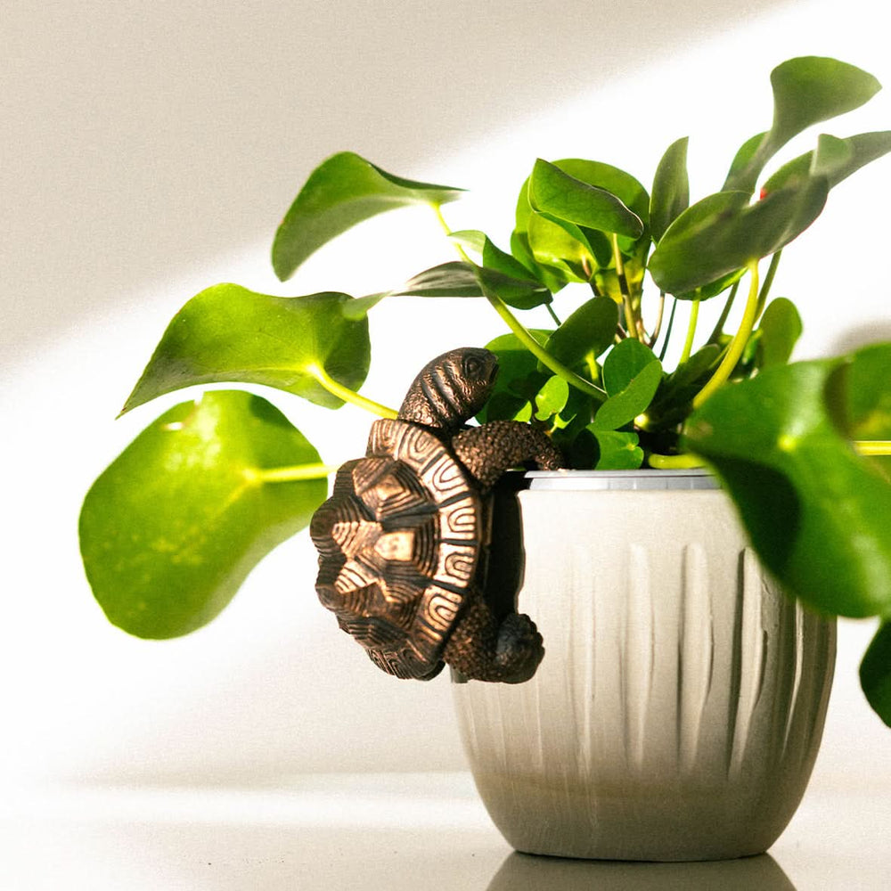 Tortoise Plant Pot Hanger