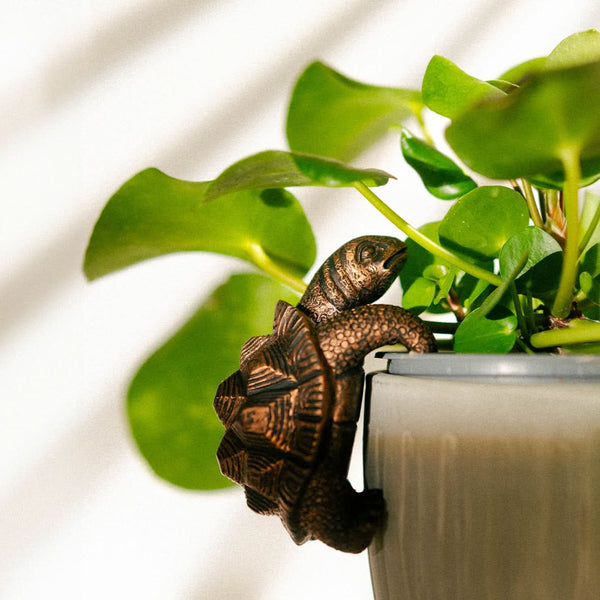 Tortoise Plant Pot Hanger