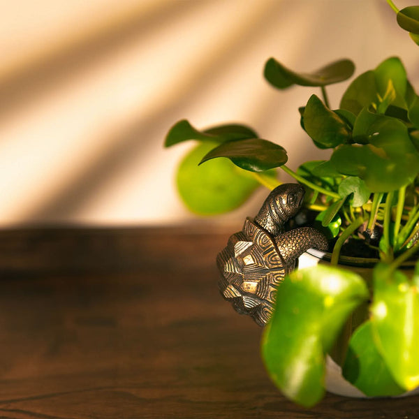 Tortoise Plant Pot Hanger