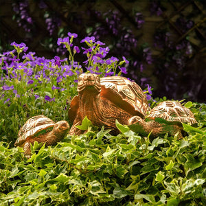 Tortoise Family Garden Ornament 3pc