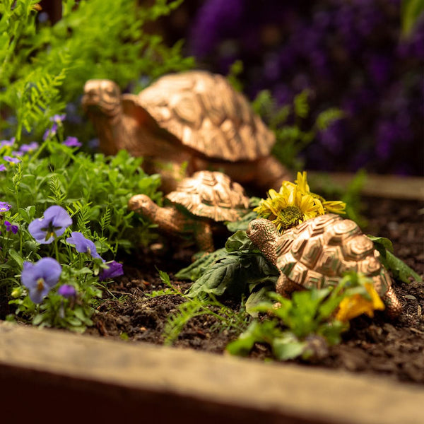 Tortoise Family Garden Ornament 3pc