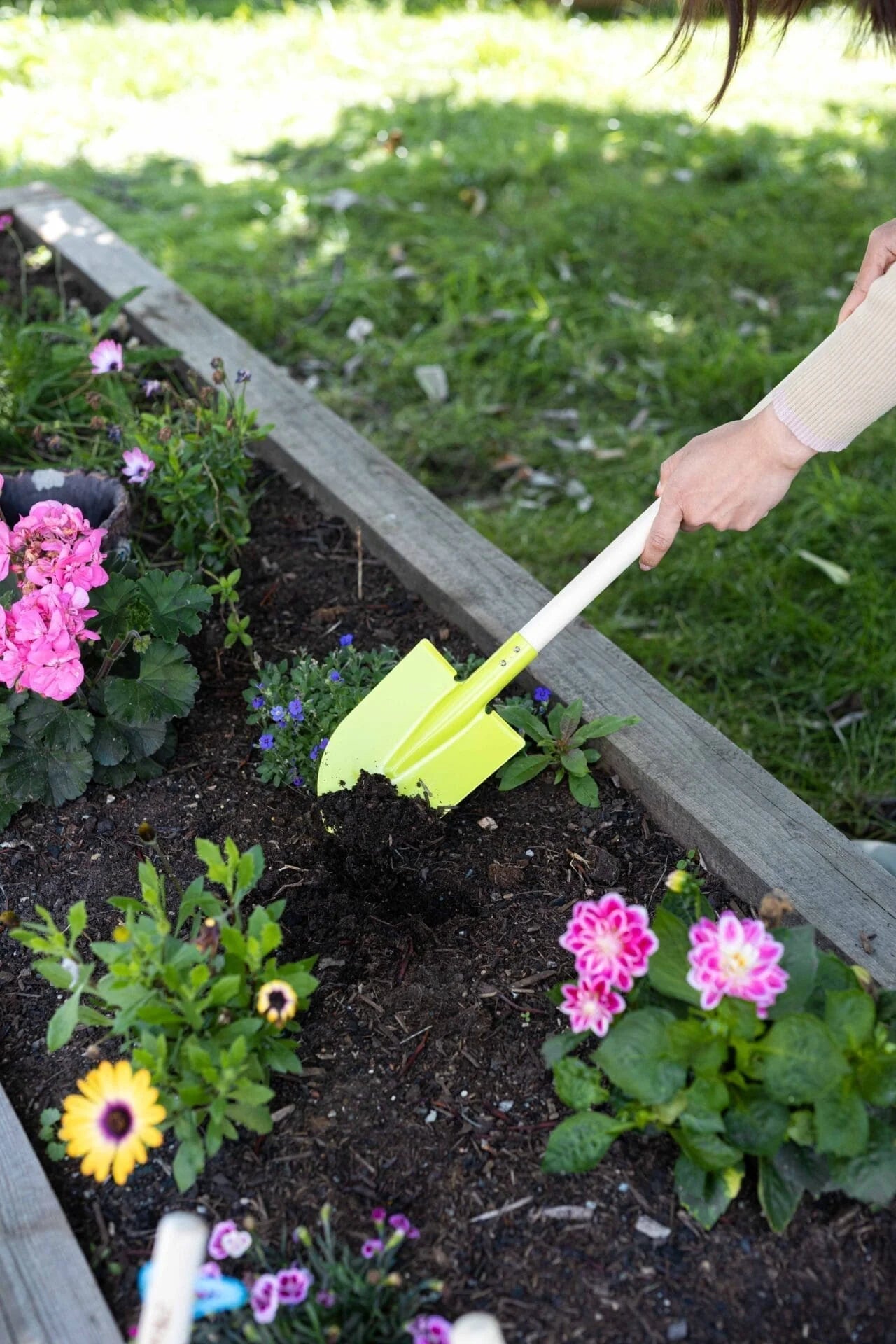 Gardening planter with flowers and green spade with wooden handle.