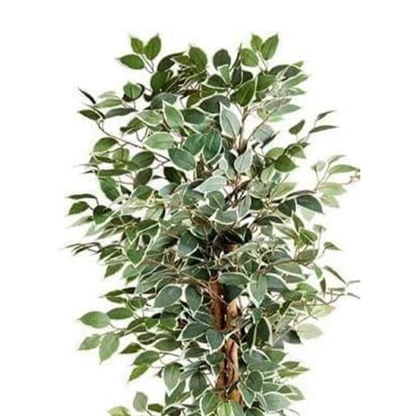 Large Artificial Weeping Fig Tree Potted Faux Fake Plant Home Indoor Decoration