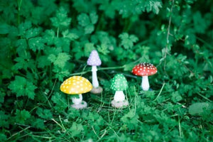 4pc-Colourful-Mushroom-Garden-Ornaments-3