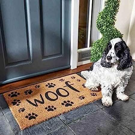 Decorative Non Slip Entry Welcome Doormat - 75 x 45cm Dog Woof