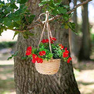 Red Hanging Flower Basket