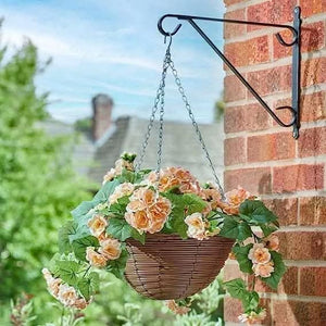 30cm Hanging Basket Garden Décor Floral & Foliage Hanging Chain - Begonia Blooms