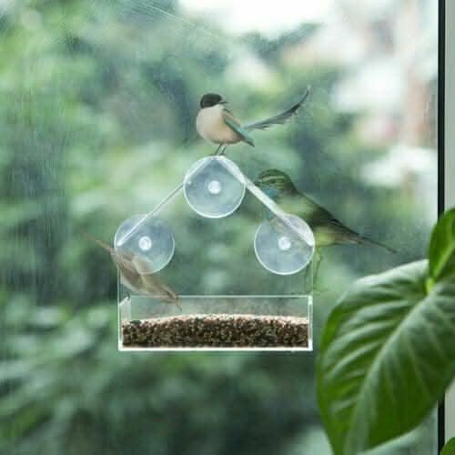 Perspex window bird feeder