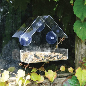 Perspex window bird feeder