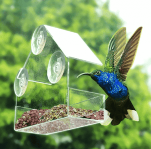 Perspex window bird feeder