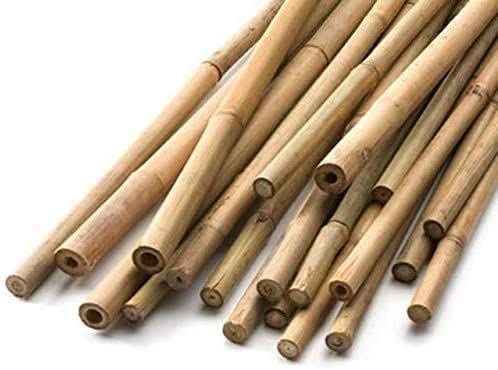 Pack Of 100 3ft (90cm) Bamboo Canes