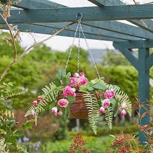 30cm Hanging Basket Garden Décor Floral & Foliage Hanging Chain - Rose Sensation