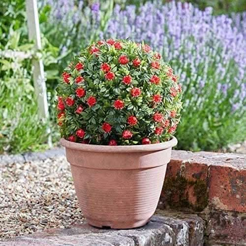 Red Rose Ball Artificial Floral Garden Hanging Baskets