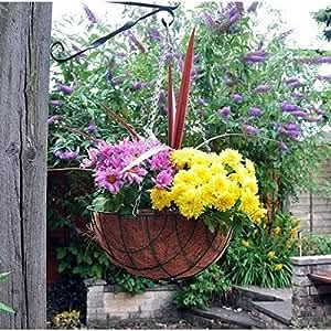 14" Indoor Outdoor Green Garden Hanging Baskets