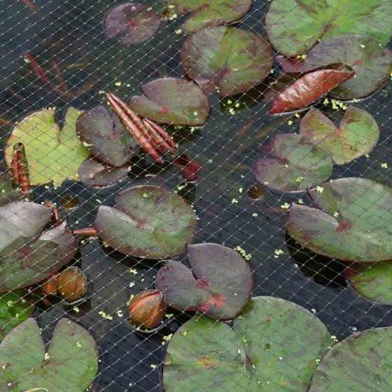 Pond & Fruit Cage Netting