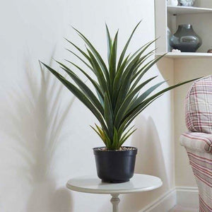 Artificial Potted Plant Spiky Sisal