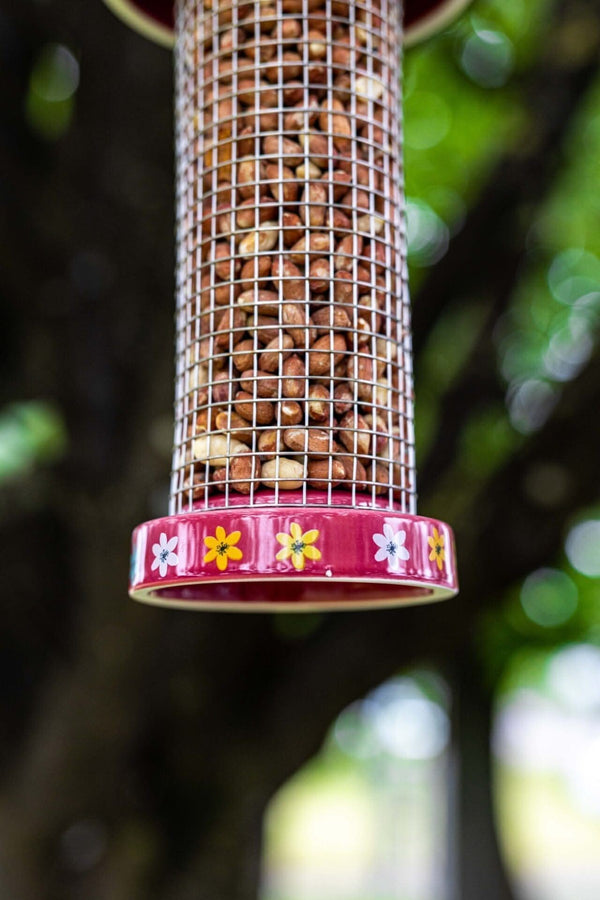 Garden Bird Feeder Peanut Feeding Station Twist Top