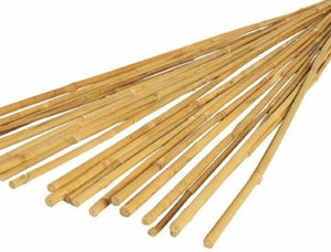 Pack Of 40 4ft (120cm) Bamboo Canes