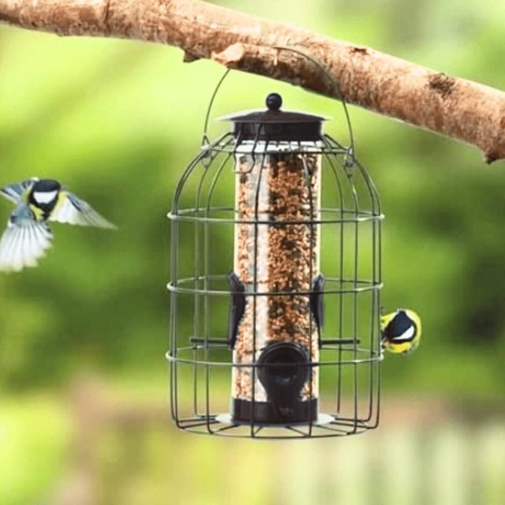 Large Seed Feeder