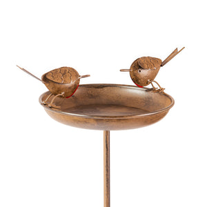 Robin Bird Bath Feeder