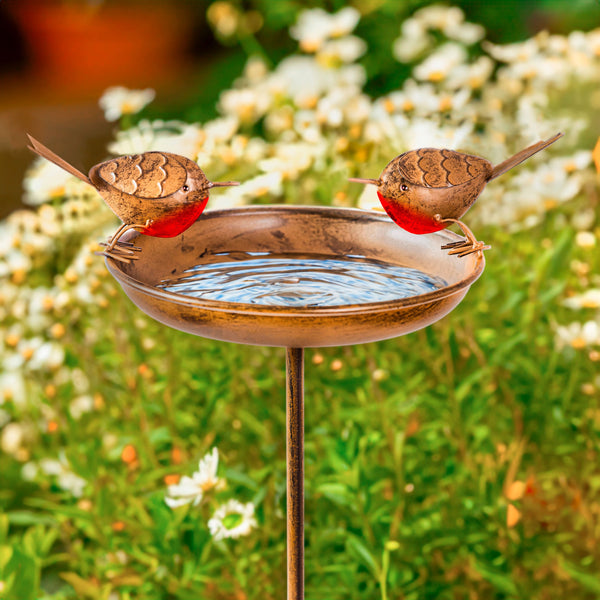 Robin Bird Bath Feeder