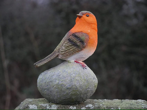 Robin-Red-Breast-Perched-on-A-Stone-Garden-Ornament-Indoor