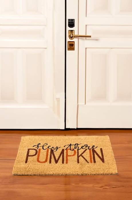 'Hey There Pumpkin' Halloween Coir Door mat