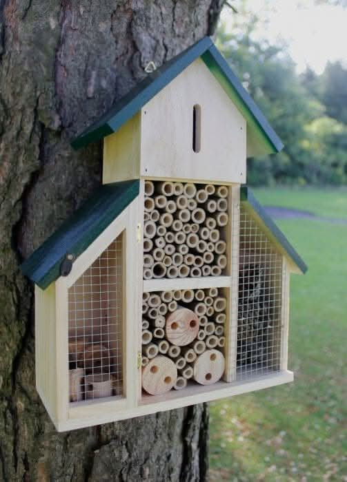 Wooden-Insect-Hotel-Large-With-Green-Roof-1