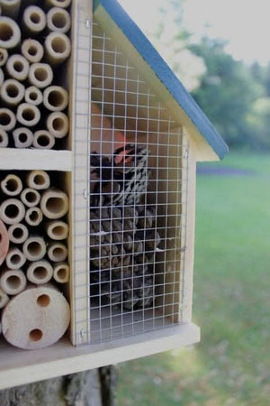 Wooden-Insect-Hotel-Large-With-Green-Roof-2-1