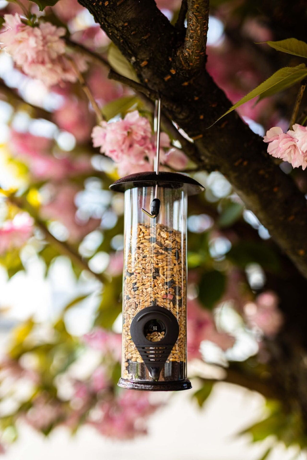 Hammertone Finish Wild Bird Seed Feeder