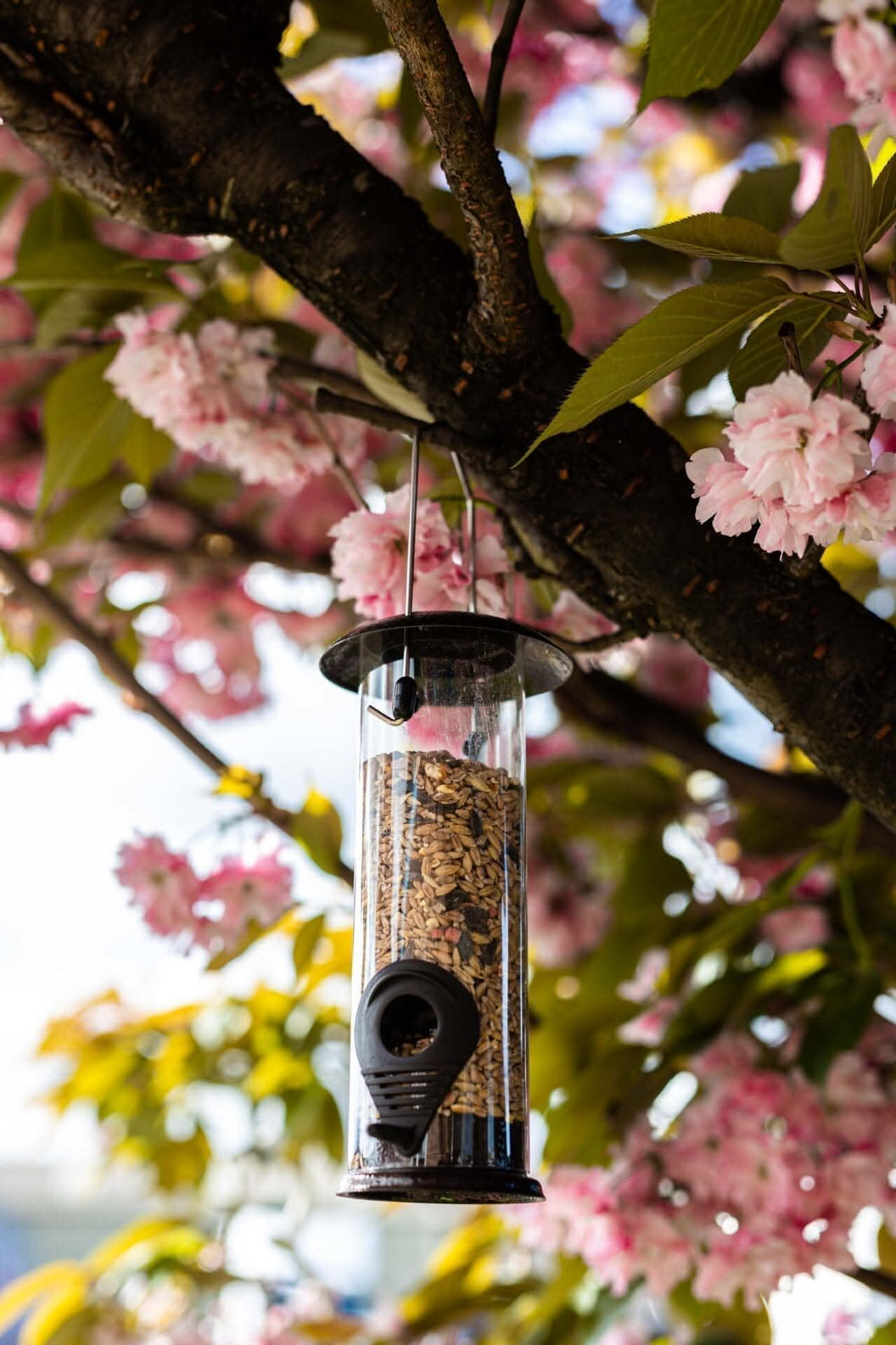 Hammertone Finish Wild Bird Seed Feeder