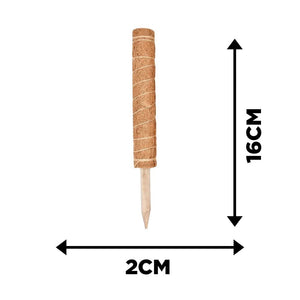 4pc Moss Coir Pole Plant Supports - Fibre Sticks with Spikes