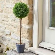 2x Decorative Uno Topiary Trees