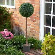 2x Decorative Uno Topiary Trees