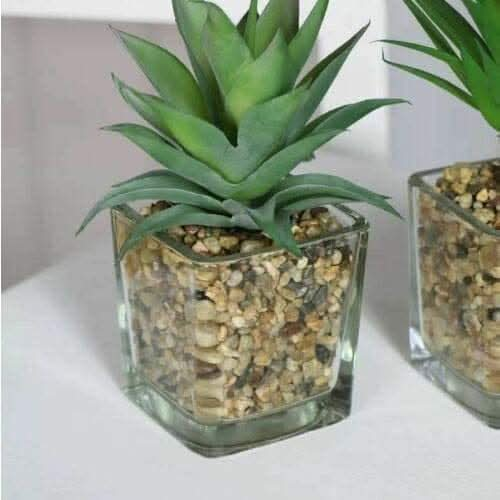 faux-potted-plants-set-of-3pc-65x65x17-cm