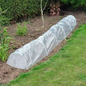 poly-plant-protector-grow-tunnel-pack-of-3